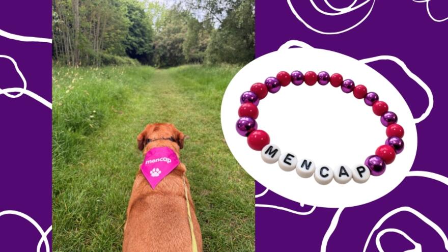 A purple background with two images one of a dog wearing a pink Mencap bandana and a close up photo of a Mencap beaded friendship bracelet