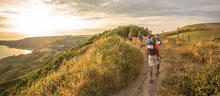 People walking alongside country path at sunset.